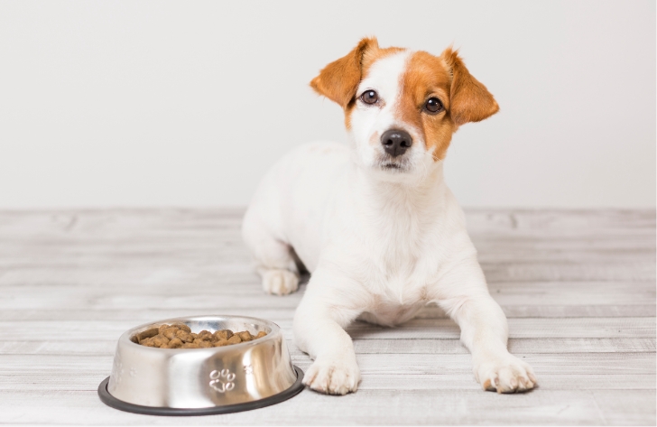 a táplálkozásról megamenü